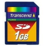Protomont SDSDH-1024-901 Ultra II Secure Digital Memory Card (1 GB)