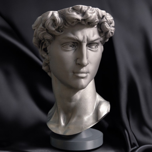 Protomont 3D Printed David of Michelangelo Plant Pot