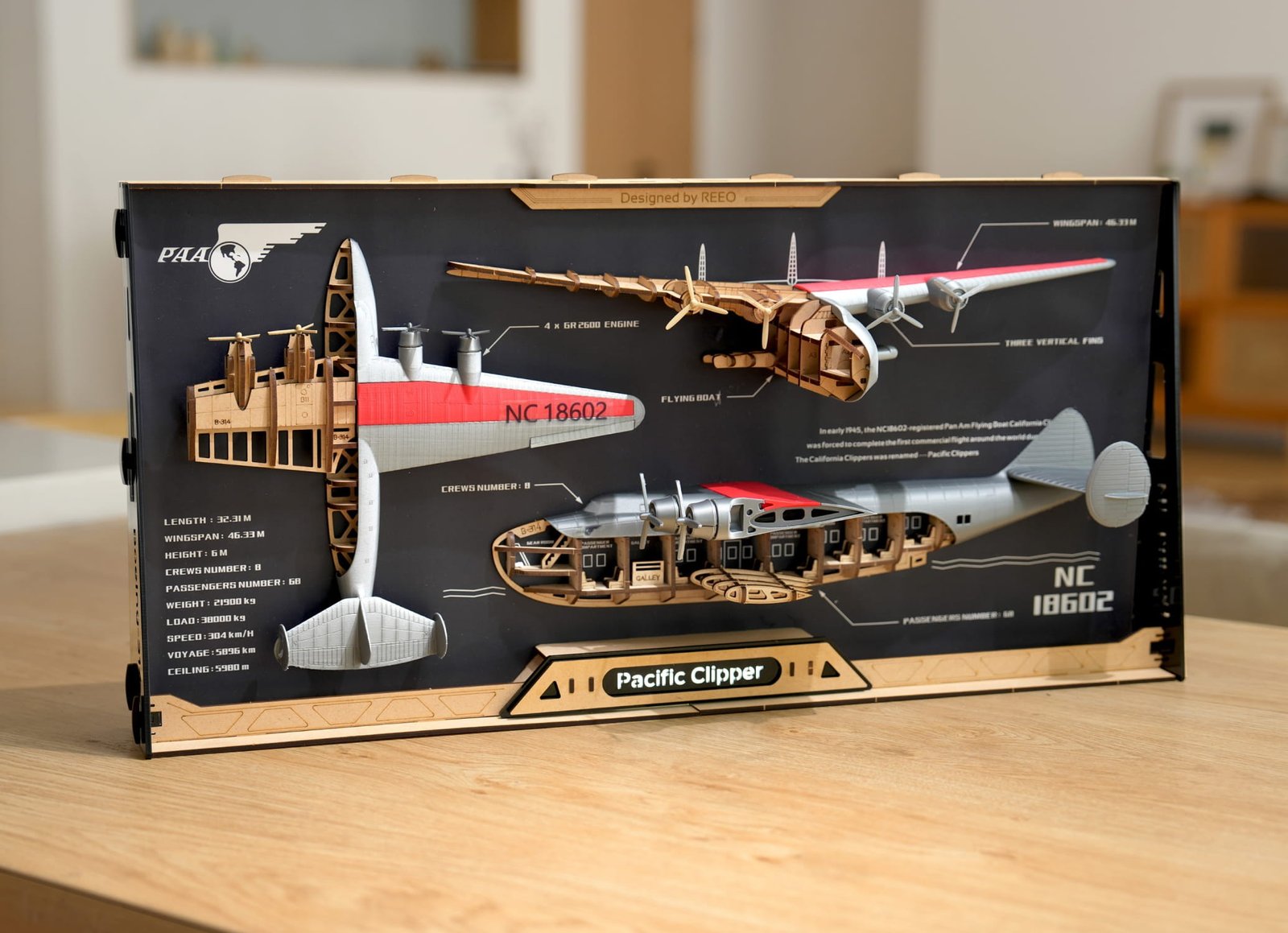 imgi 13 flying model